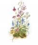 Watercolor Flowers 2023